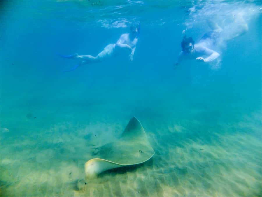 St. Lucia: Cape Vidal Snorkeling Adventure - Low tide rules, shifting meeting times, and why it changes what you see