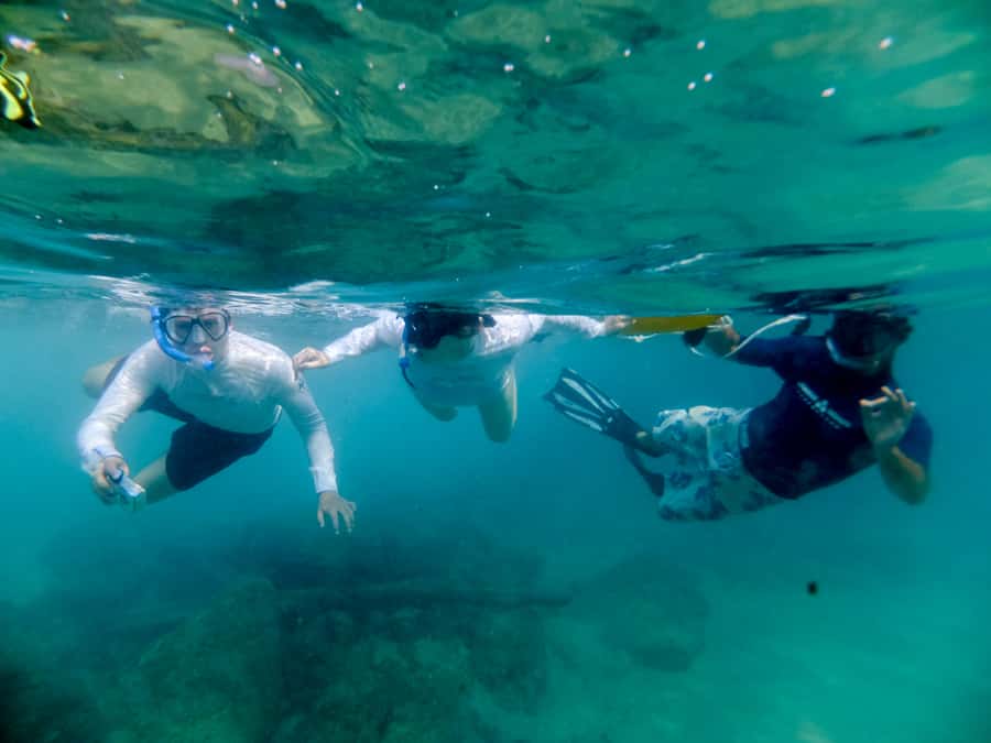 St. Lucia: Cape Vidal Snorkeling Adventure - The 1 to 1.5 hour snorkeling route: fish, stingrays, octopus, and a gold-search shipwreck