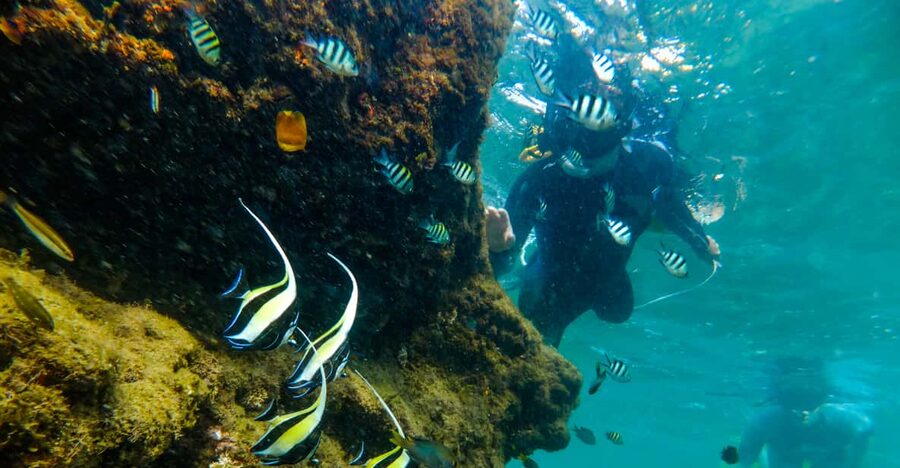 St. Lucia: Cape Vidal Snorkeling Adventure - Who this Cape Vidal snorkeling adventure suits best
