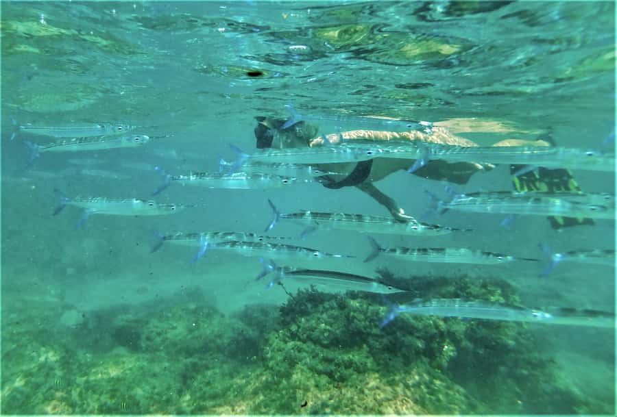 St. Lucia: Cape Vidal Snorkeling Adventure - Getting to the meeting point at Cape Vidal beach, step by step