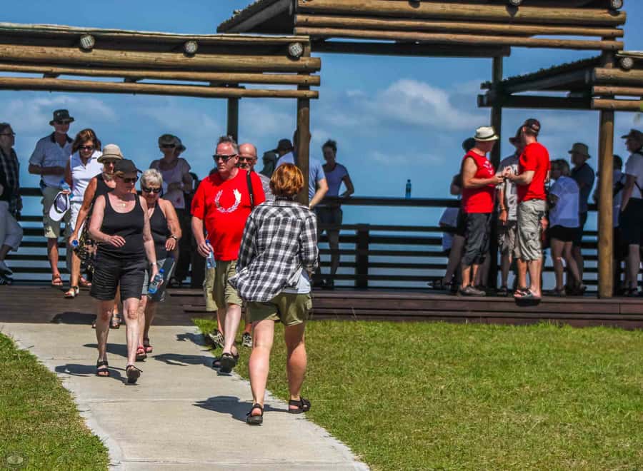 St Lucia: iSimangaliso Wetland Park: Full-Day/Half-Day Tour - The Animal List: Big Four Targets Plus the “Small but Great” Stuff
