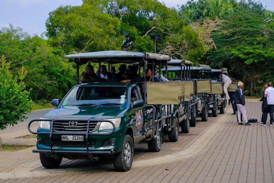St Lucia: iSimangaliso Wetland Park: Full-Day/Half-Day Tour - Game Drive Routes, Lookouts, and Why Loop Roads Matter