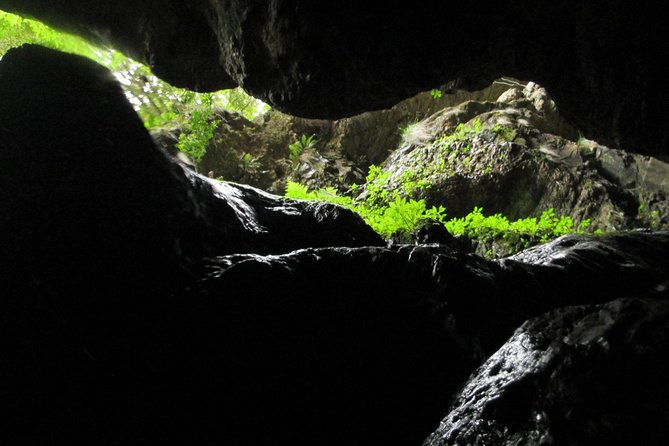 Standard Canyoning Trip in The Crags, South Africa - The 98-foot (30-meter) zip line: a big finish that still feels safe
