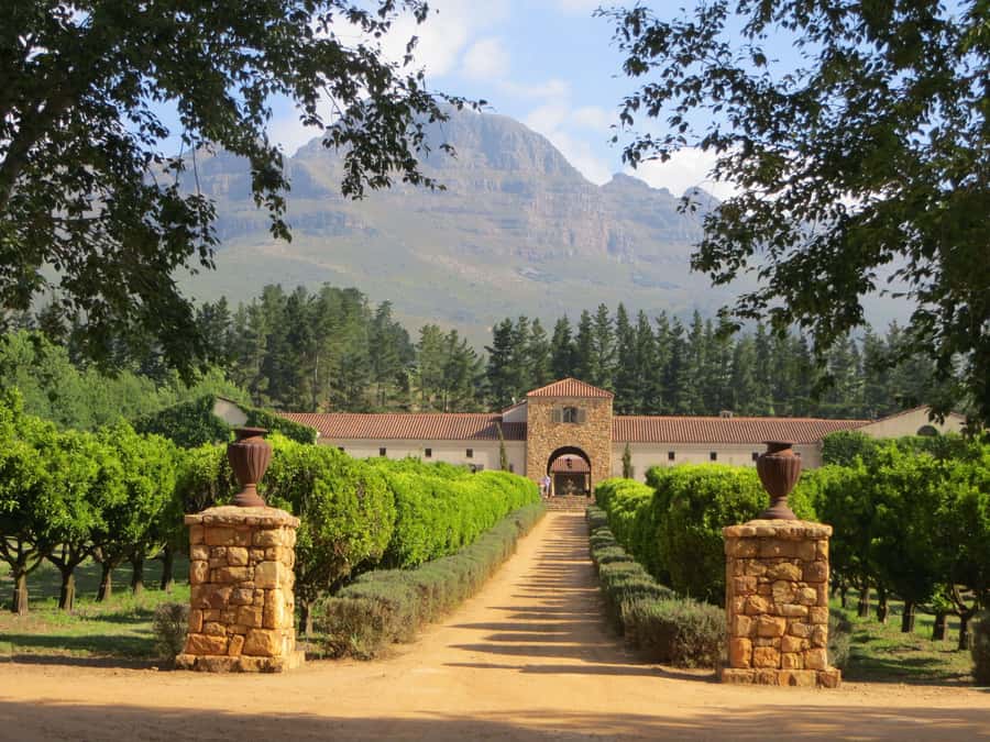 Stellenbosch: All-inclusive Private Wine Tour & Tastings - The town drive-by that gives context fast