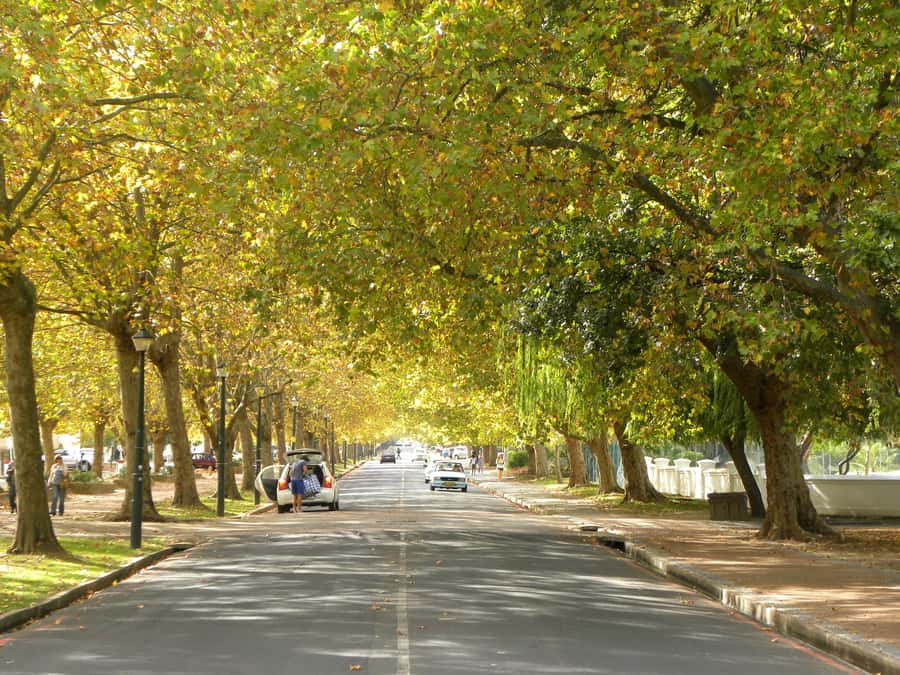 Stellenbosch: All-inclusive Private Wine Tour & Tastings - Food and wine pairings that make the tastings easier