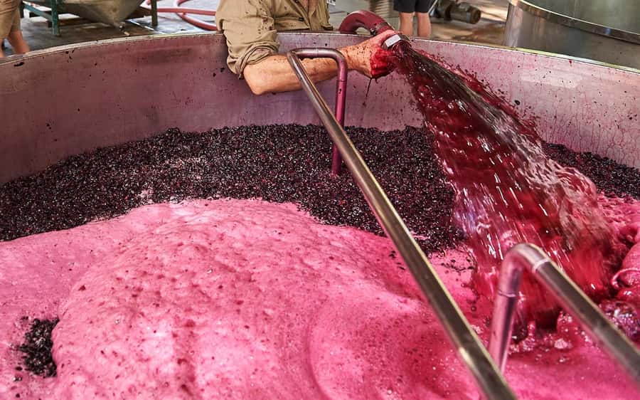 Stellenbosch: All-inclusive Private Wine Tour & Tastings - Transportation by SUV, and the value of not driving yourself
