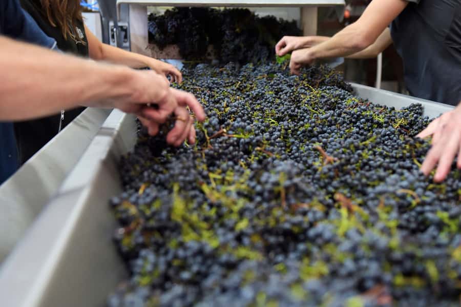 Stellenbosch: All-inclusive Private Wine Tour & Tastings - Practical expectations for a smooth 6.5 hour day