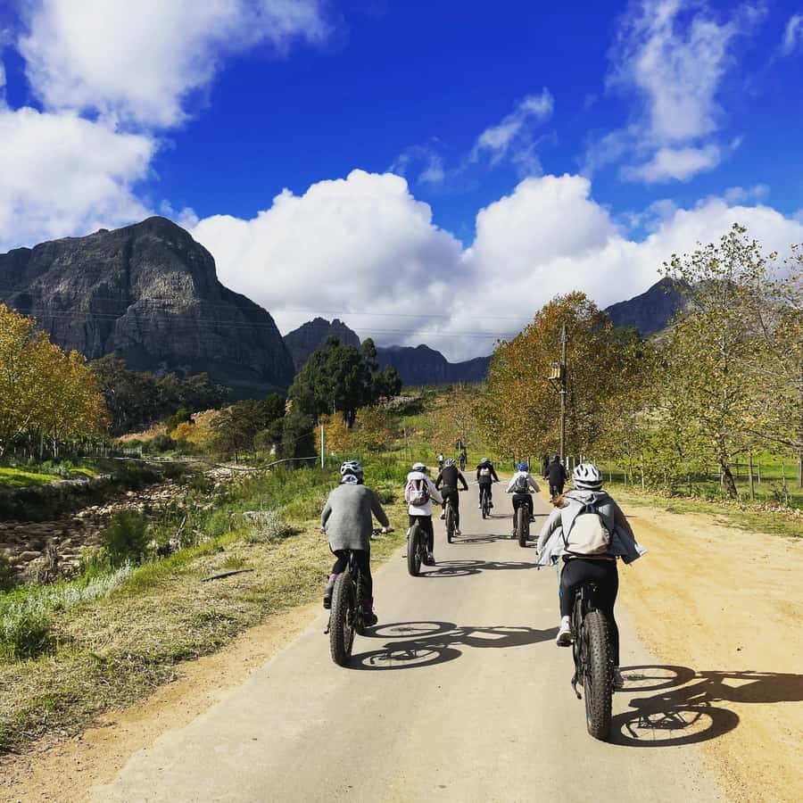 Stellenbosch: Countryside Banhoek valley E-Bike Wine Tour - Key things to know before you go
