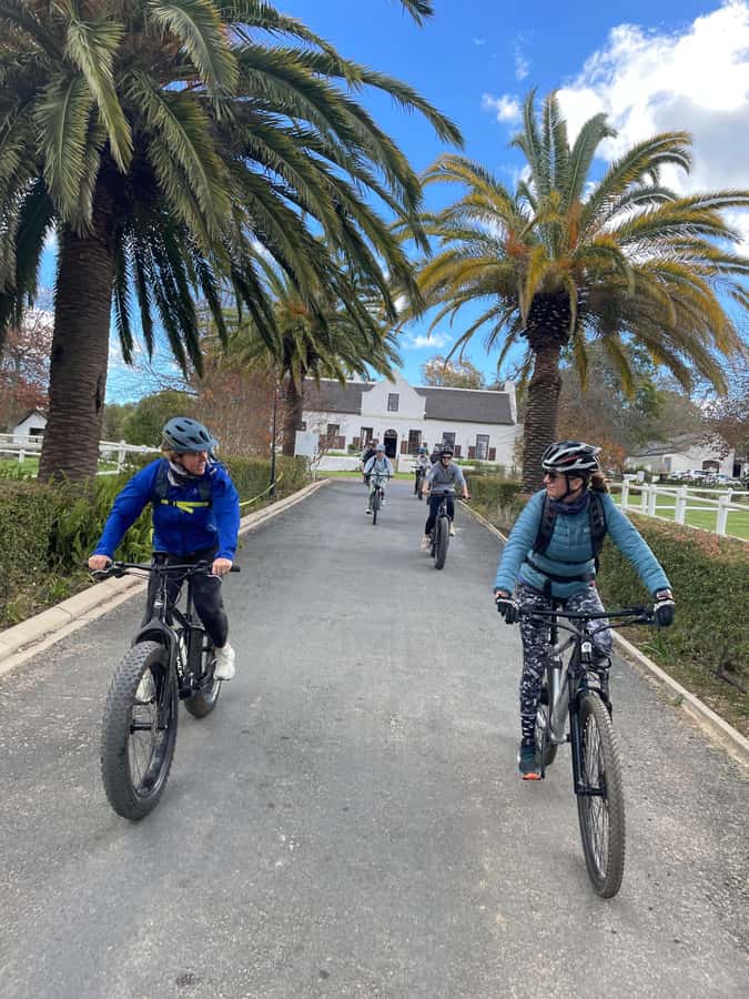 Stellenbosch: Countryside Banhoek valley E-Bike Wine Tour - Assisted pedaling on farm roads: what the ride feels like