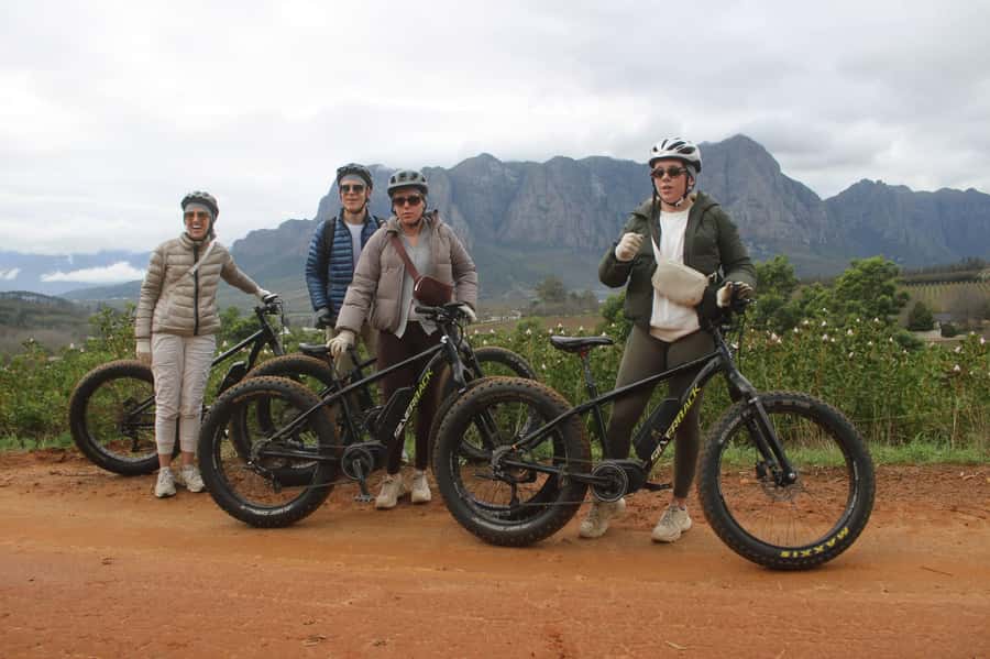 Stellenbosch: Countryside Banhoek valley E-Bike Wine Tour - Price and value: what $85 really buys you