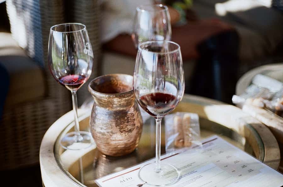 Stellenbosch: Daily Diffirent small group full day wine tour - Key Points to Know Before You Go