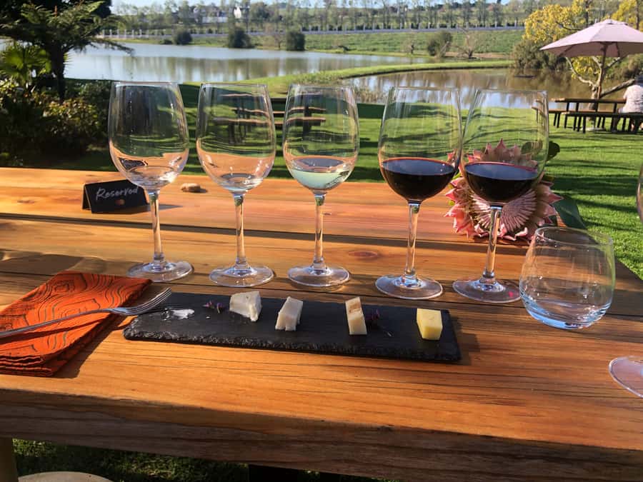 Stellenbosch: Daily Diffirent small group full day wine tour - Stop 3: Alto Wine Estate for Lunch (About 1.5 Hours)
