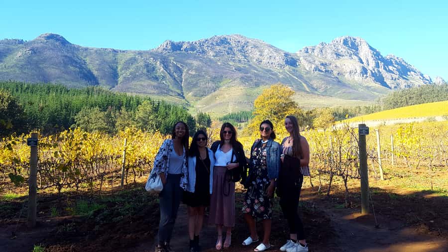 Stellenbosch: Eastern Route Hop-On Hop-Off Wine Tour - Eastern Route freedom in Stellenbosch: why this hop-on hop-off format works