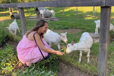 Stellenbosch, Franschhoek and Paarl: Full Day Wine Tour
