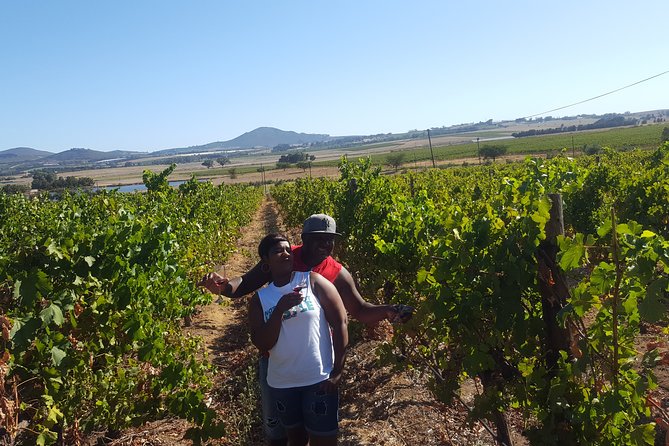 Stellenbosch Franschhoek Full-Day Tour with Cheese Tasting - Bergkelder’s Mountain Cellar Tour and Wine Museum Photos