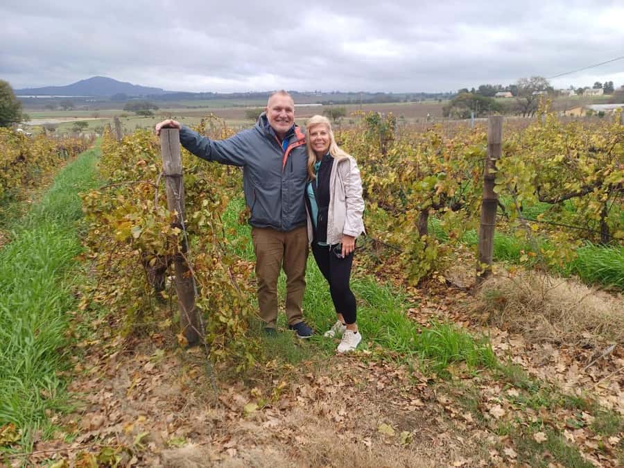 Stellenbosch, Franshoek ,Paarl Region (20 wine tastings) - Stellenbosch orientation first: getting bearings before the wine