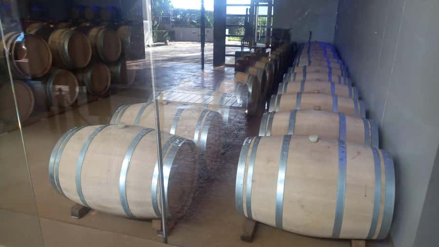 Stellenbosch, Franshoek ,Paarl Region (20 wine tastings) - Franschhoek town drive and French Huguenot monuments