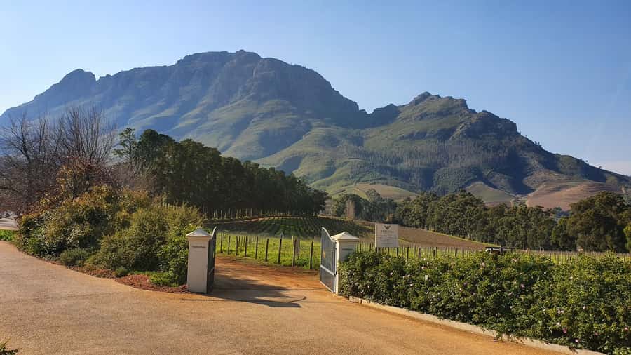 Stellenbosch: Guided Vineyard Hike and Wine Tasting - Getting Started: Hotel Pickup and a Clear Plan