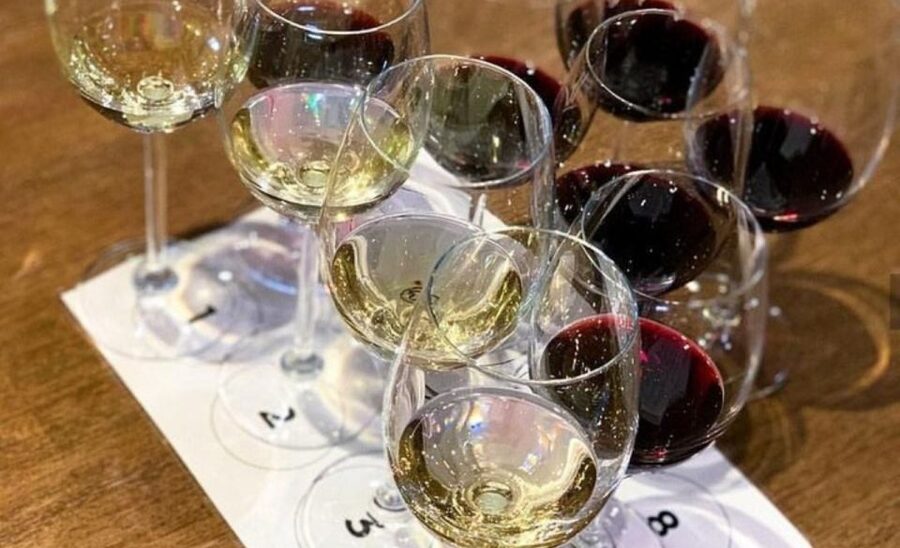 Stellenbosch: Half-Day Wine Tour - Who Should Book This Tour, and Who Might Want Another Option