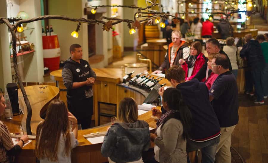 Stellenbosch: Half-Day Wine Tour - The First Vineyard: Social Tasting Pods, 6 Wines, and a Cellar Visit
