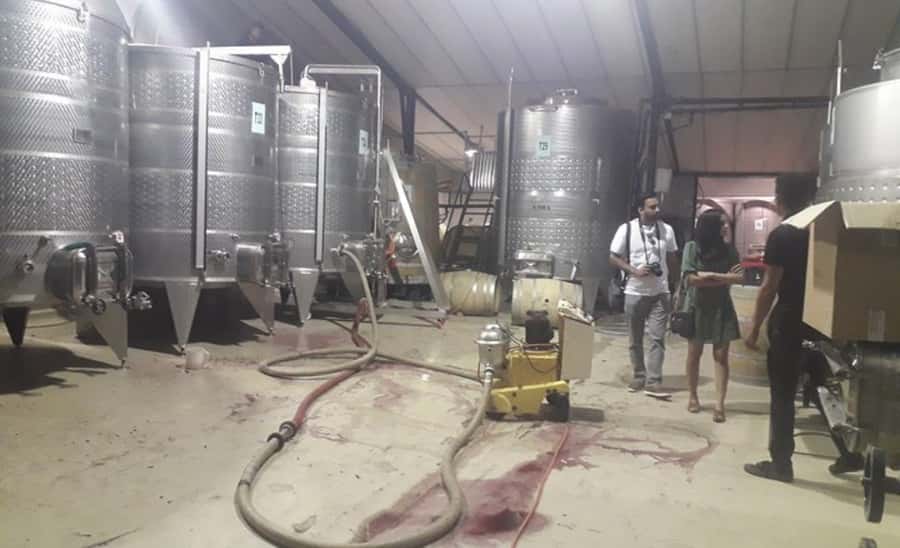 Stellenbosch: Half-Day Wine Tour - Timing, Group Size, and What It Feels Like On the Ground