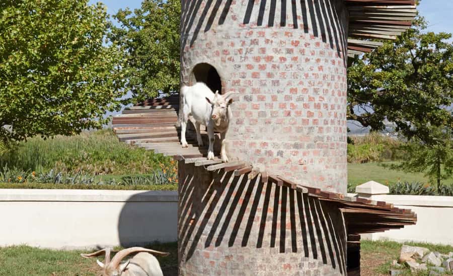 Stellenbosch: Half-Day Wine Tour - Price and Value: What $55 Buys You in the Wine Winelands