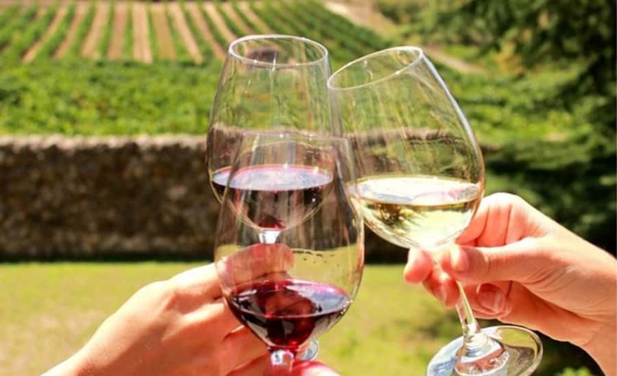 Stellenbosch: Half-Day Wine Tour - Getting From Cape Town to Stellenbosch: Pickup, Drive Time, and Pace
