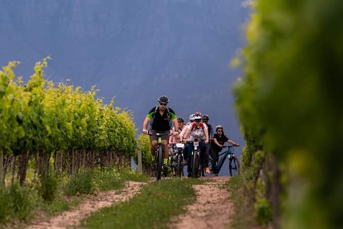 Stellenbosch Half Day Winelands Mountain Bike Tour - Ride route basics, including the town-and-vineyard mix