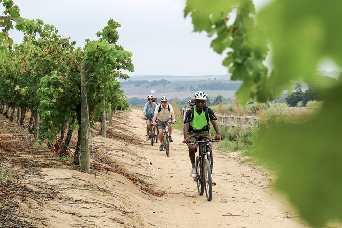 Stellenbosch Half Day Winelands Mountain Bike Tour - Stop 2: Neethlingshof Estate, stone pines and Cape Dutch charm