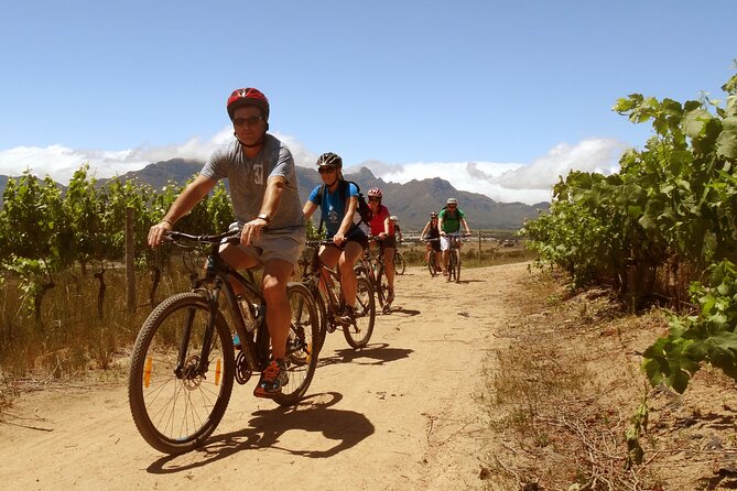 Stellenbosch Half Day Winelands Mountain Bike Tour - Getting set up at Skilpadvlei, then rolling into the Winelands