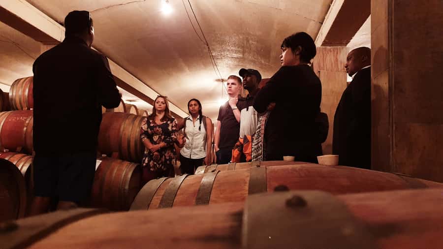 Stellenbosch: Historical Bike Tour & Wine Tasting - Why Stellenbosch by bike, not just by car