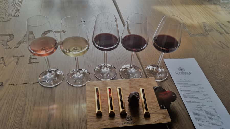 Stellenbosch: Historical Bike Tour & Wine Tasting - Who might want to think twice