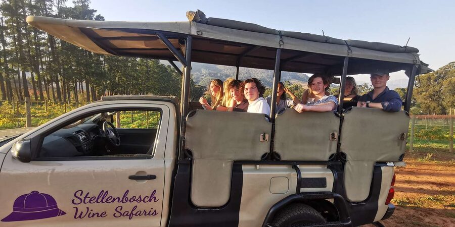 Stellenbosch North Guided Wine Safari (Tastings Excluded) - Stop 3: Glenelly Wines for Views, Wine Time, and a Snack-Style Reality Check