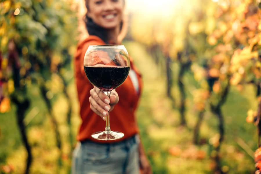 Stellenbosch North Guided Wine Safari (Tastings Included) - Key highlights worth factoring in