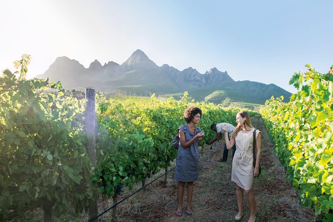 Stellenbosch, Paarl & Franschhoek Private Full Day Wine Tour - Fairview Wine and Cheese: The Best Way to Finish With Balance