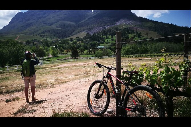 Stellenbosch Private E-Bike & Wine Tour - Zorgvliet Wine Estate: first tasting with vine season context