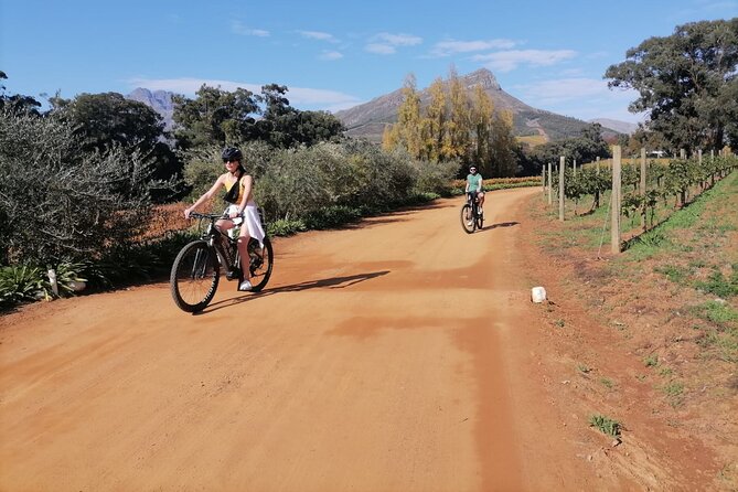 Stellenbosch Private E-Bike & Wine Tour - Thelema Mountain Vineyards: second tasting with mountain views