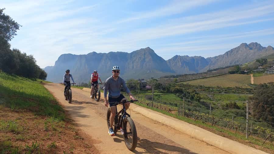Stellenbosch: Stellenbosch E-Bike & Wine Tour (Shared Tour) - Key things I’d circle before you book