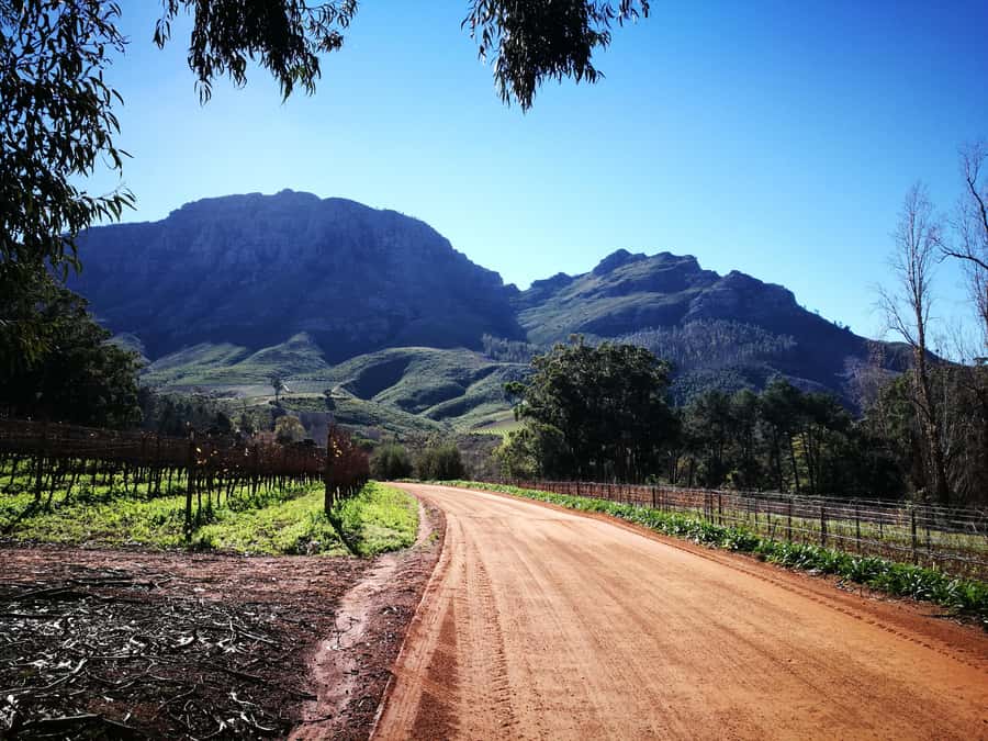 Stellenbosch: Stellenbosch E-Bike & Wine Tour (Shared Tour) - Why Banghoek Valley works so well on an e-bike