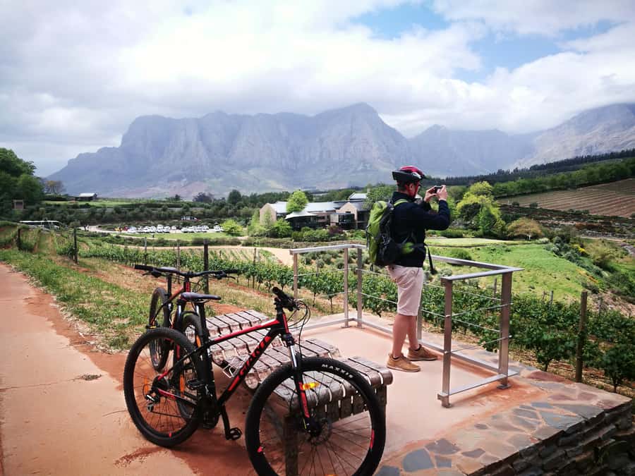 Stellenbosch: Stellenbosch E-Bike & Wine Tour (Shared Tour) - The guides make or break it, and names you might hear