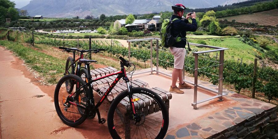 Stellenbosch: Stellenbosch E-Bike & Wine Tour (Shared Tour) - Who should book this e-bike and wine tour