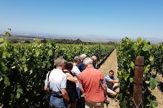 Stellenbosch Valley. Private wine tour with winemaker in Swedish or English. - Cape Winelands wine, without the tourist rush