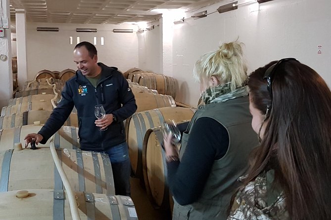 Stellenbosch Valley. Private wine tour with winemaker in Swedish or English. - What a full-day structure feels like on the ground