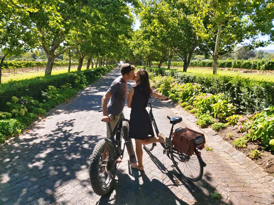 Stellenbosch: Wine Farm E-Bike Guided Tour - Key highlights on this Stellenbosch e-bike wine-farm ride