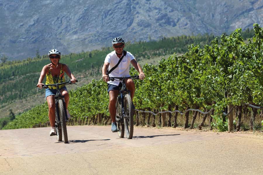 Stellenbosch: Wine Farm E-Bike Guided Tour - Lanzerac start point, then straight onto the cycle path