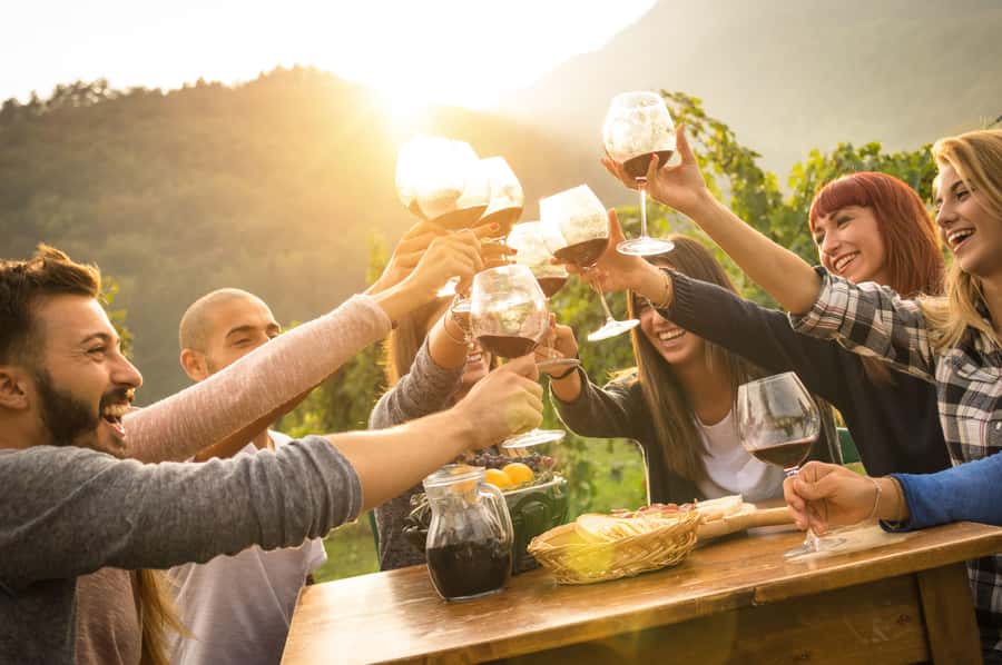 Stellenbosch: Wine Farm E-Bike Guided Tour - First wine farm stop: tasting, shopping, and a breather