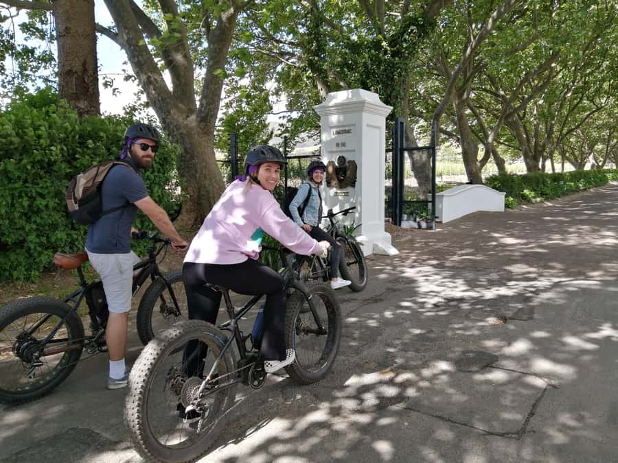 Stellenbosch: Wine Farm E-Bike Guided Tour - Safety briefing and e-bike coaching that actually helps