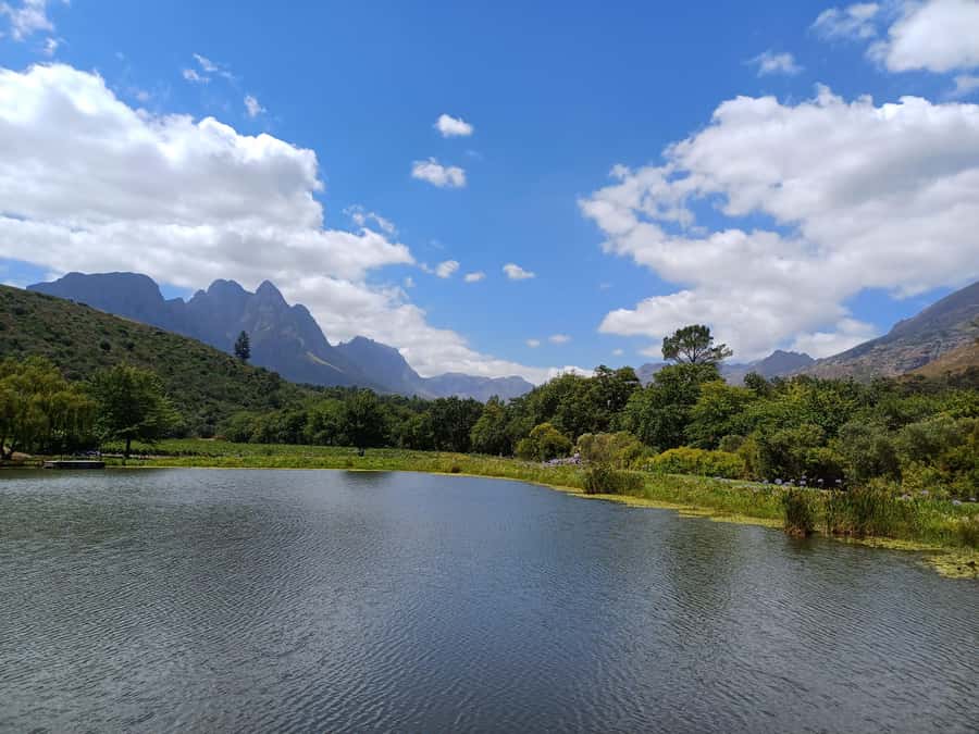 Stellenbosch wine tour, all inclusive of lunch and tastings. - A full-day Stellenbosch tasting circuit that feels organized, not rushed