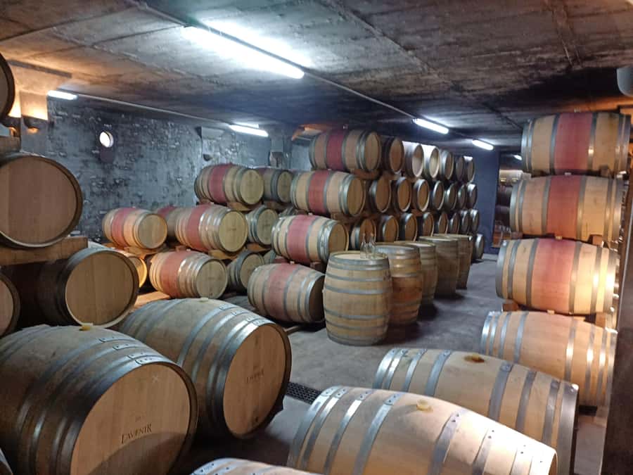 Stellenbosch wine tour, all inclusive of lunch and tastings. - Four wineries plus a lunch stop: what you actually get for 8 hours