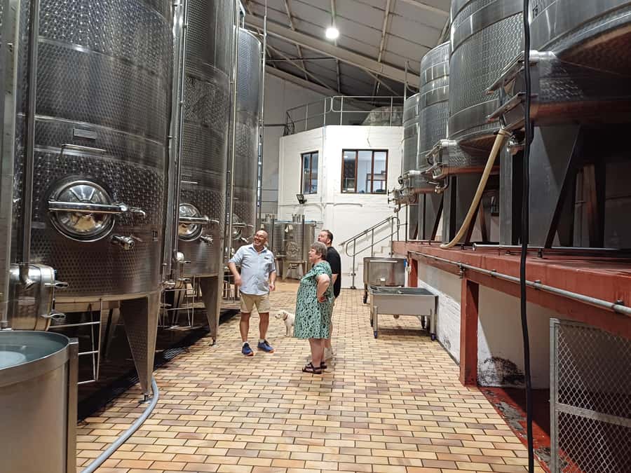 Stellenbosch wine tour, all inclusive of lunch and tastings. - Price and value for $105 per person all-inclusive